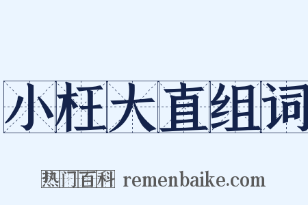 小枉大直组词是什么意思的图片